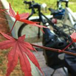 【ｲﾍﾞﾝﾄﾚﾎﾟｰﾄ】成城店：紅葉ポタリング行ってきました♪